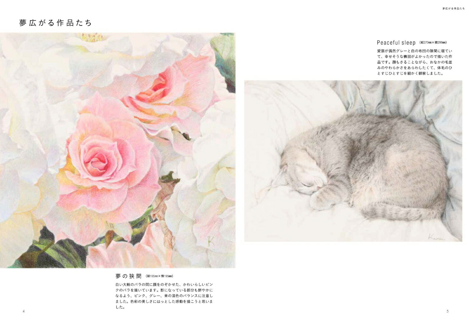 あなたにも描ける、本物のように美しい色鉛筆画 ...の紹介画像2