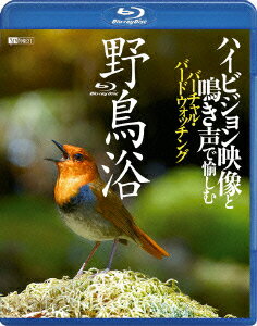 野鳥浴 ハイビジョン映像と鳴き声で愉しむバーチャル・バードウォッチング【Blu-ray】