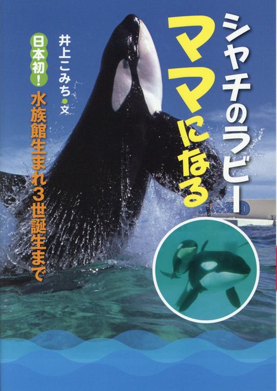 シャチのラビーママになる 日本初！水族館生まれ3世誕生まで 