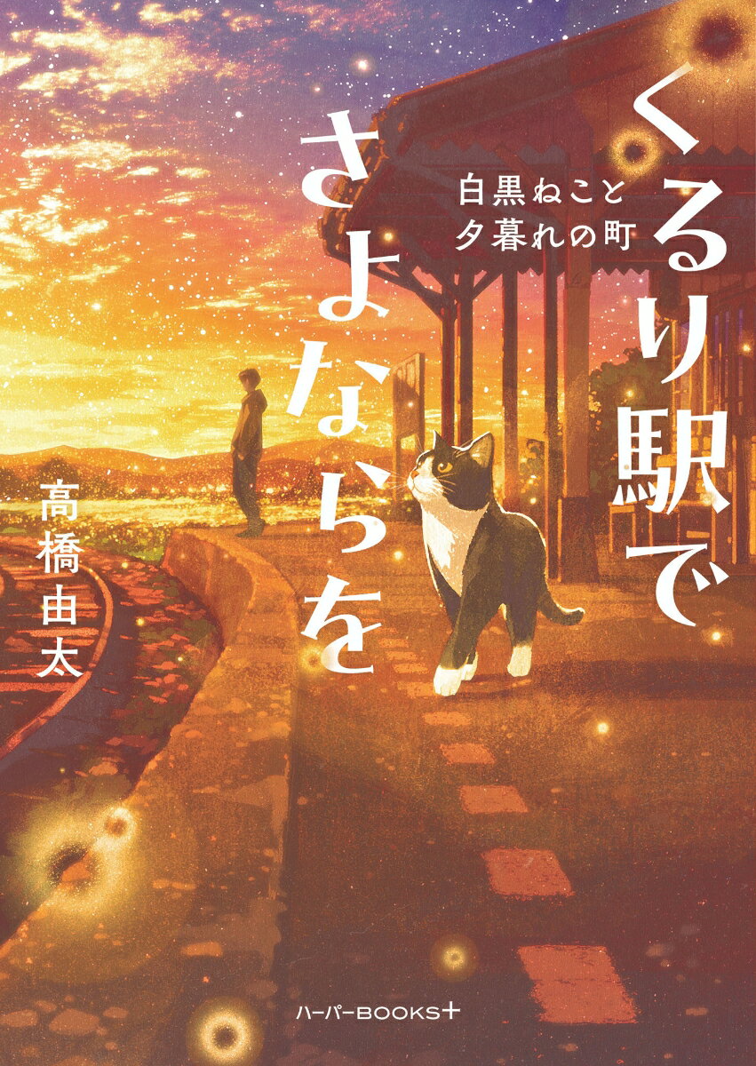 くるり駅でさよならを　白黒ねこと夕暮れの町