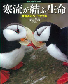 【バーゲン本】寒流が結ぶ生命　北海道からベーリング海ー寺沢孝毅写真集 （BIRDER　SPECIAL） [ 寺沢　孝毅 ]