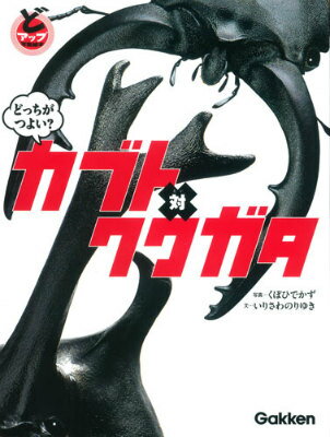 どっちがつよい？カブト対クワガタ