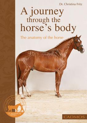 A Journey Through the Horse's Body: The Anatomy of the Horse