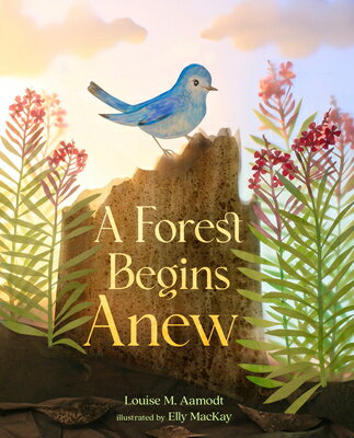 A Forest Begins Anew FOREST BEGINS ANEW [ Louise M. Aamodt ]