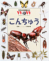 21世紀幼稚園百科 こんちゅう