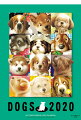 2020年 ビッグコミックオリジナル 村松誠 犬カレンダー