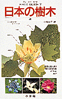 フィールド・ガイドシリーズ7 日本の樹木 上