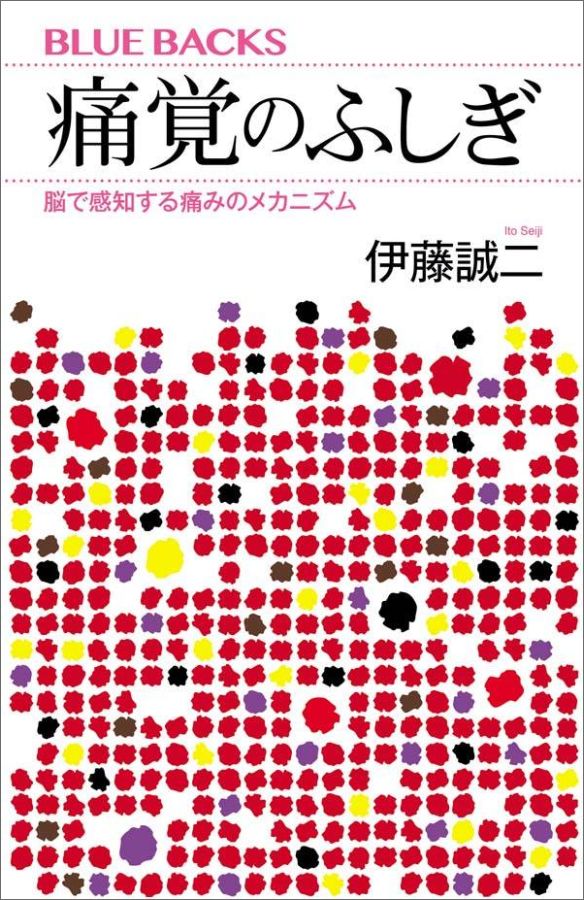 痛覚のふしぎ　脳で感知する痛みのメカニズム （ブルーバックス） [ 伊藤 誠二 ]