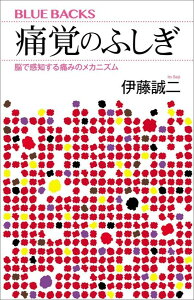 痛覚のふしぎ　脳で感知する痛みのメカニズム