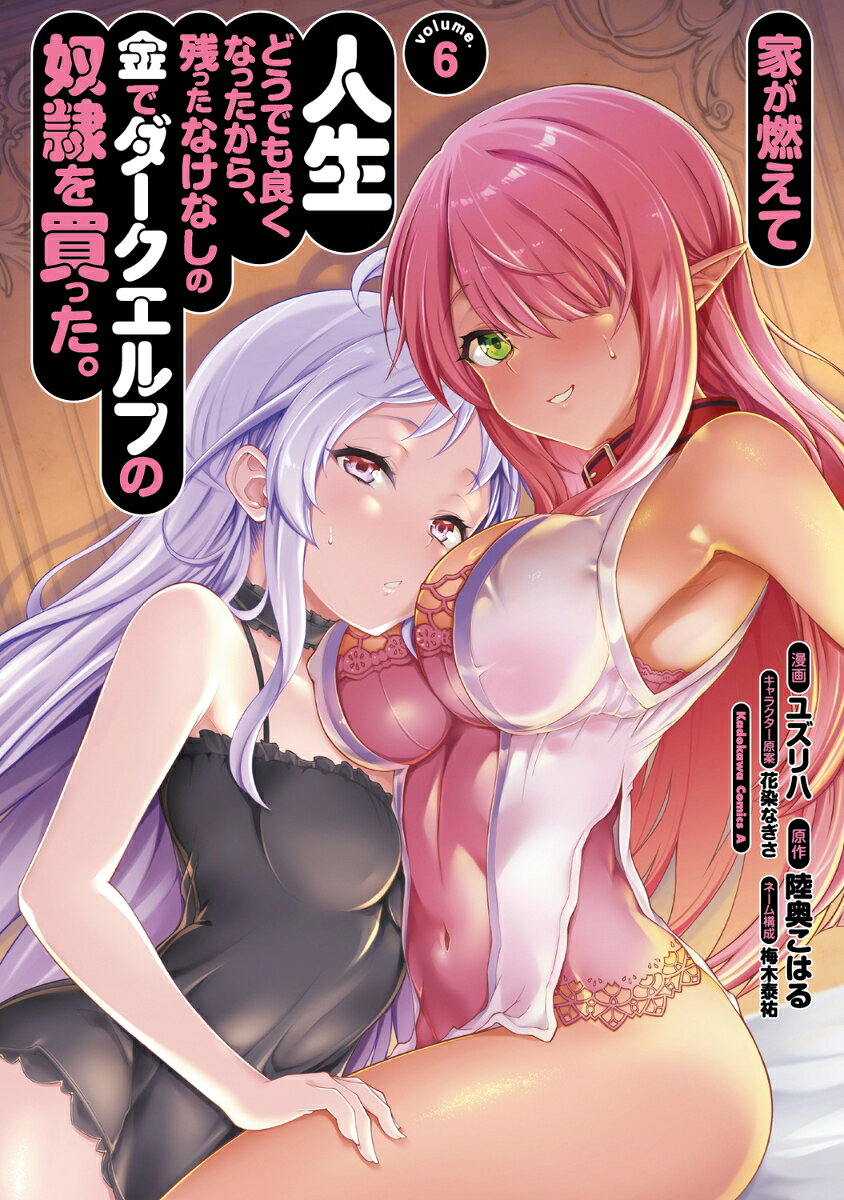 家が燃えて人生どうでも良くなったから、残ったなけなしの金でダークエルフの奴隷を買った。 6巻