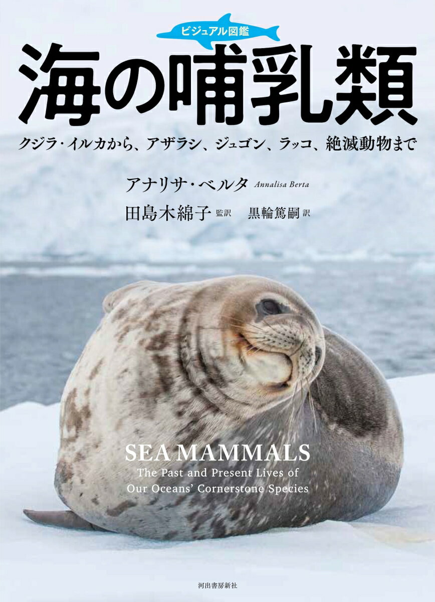 ビジュアル図鑑 海の哺乳類