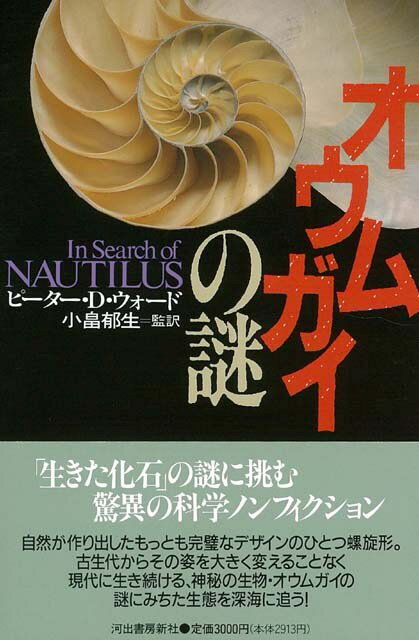 【バーゲン本】オウムガイの謎 [ ピーター　D．ウォード ]