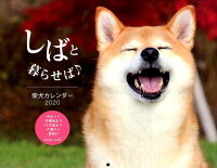 しばと暮らせば♪柴犬カレンダー（2020）