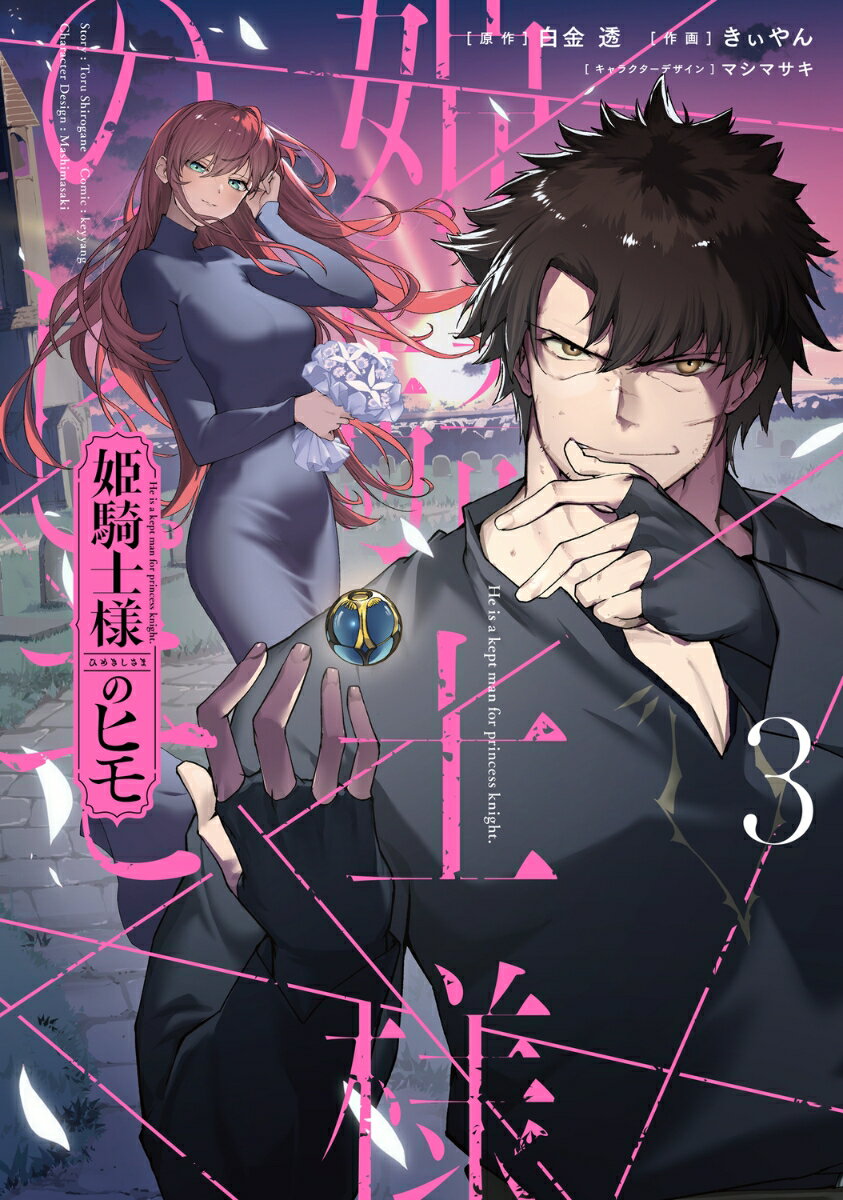 姫騎士様のヒモ（3）