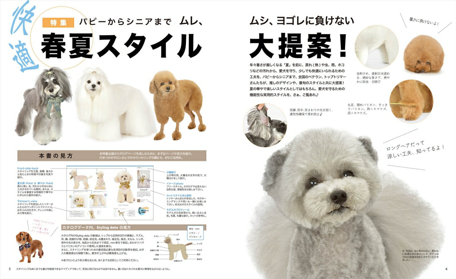 Dog hair Collection トリムノート vol.11 （メディアパルムック） 3