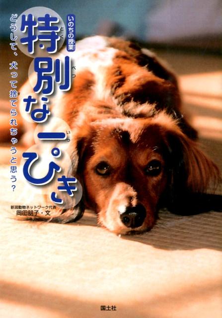 特別な一ぴき