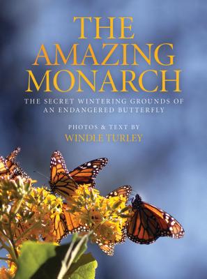 Amazing Monarch: The Secret Wintering Grounds of an Endangered Butterfly AMAZING MONARCH 