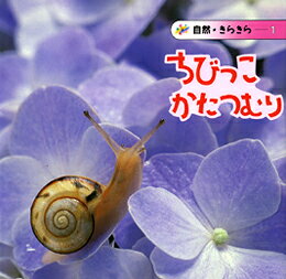 ちびっこかたつむり （自然★きらきら） [ 久保秀一 ]のサムネイル