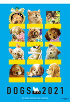 村松誠犬カレンダー（2021）