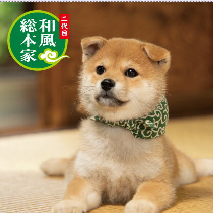 豆助付箋　全身