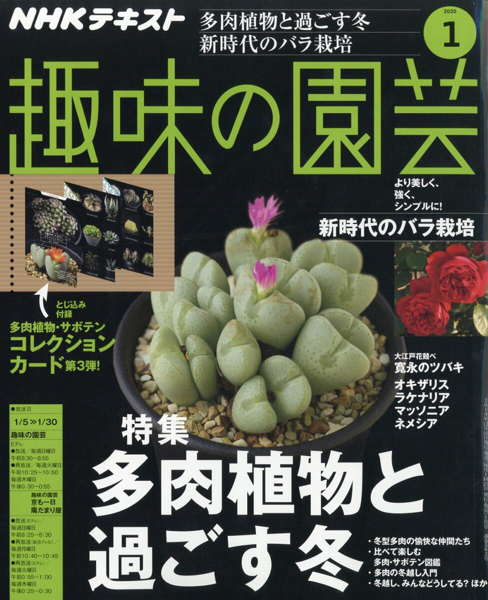 NHK 趣味の園芸 2020年 01月号 [雑誌]