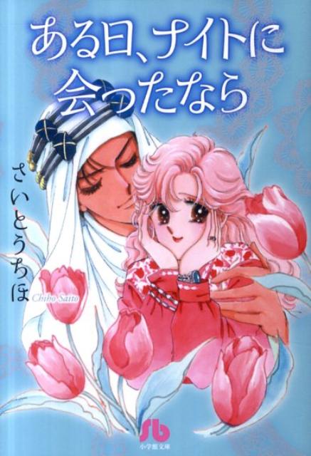 ある日、ナイトに会ったなら
