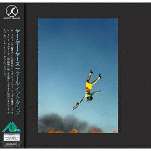 COOL IT DOWN【アナログ盤】