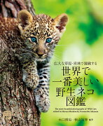 世界で一番美しい野生ネコ図鑑