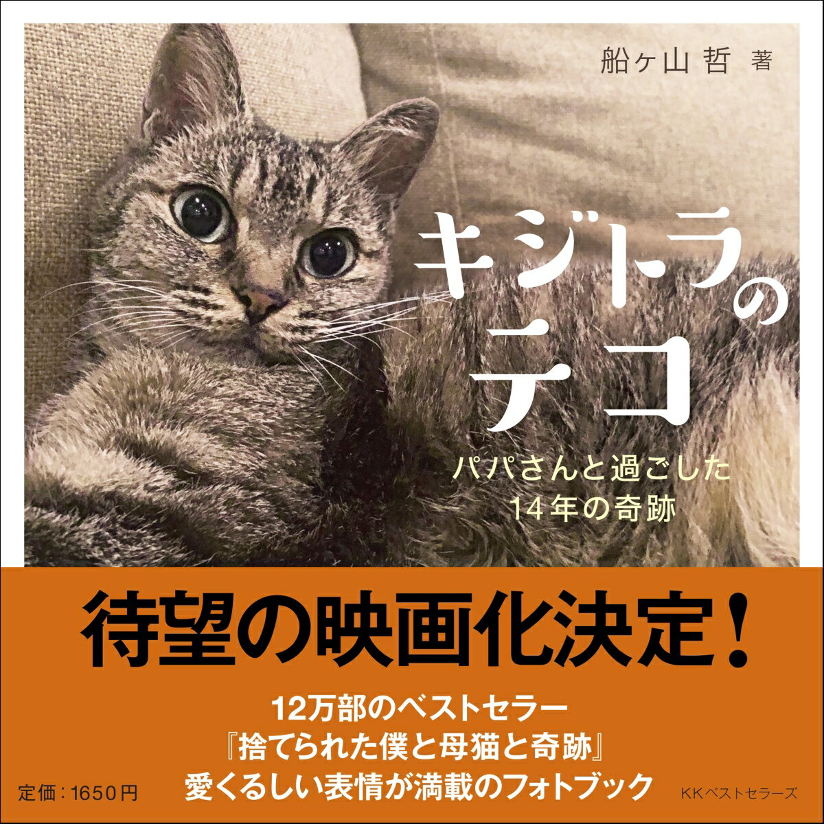 キジトラのテコ　パパさんと過ごした14年の奇跡