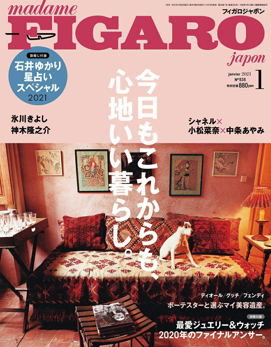 madame FIGARO japon (フィガロ ジャポン) 2021年 01月号 [雑誌]