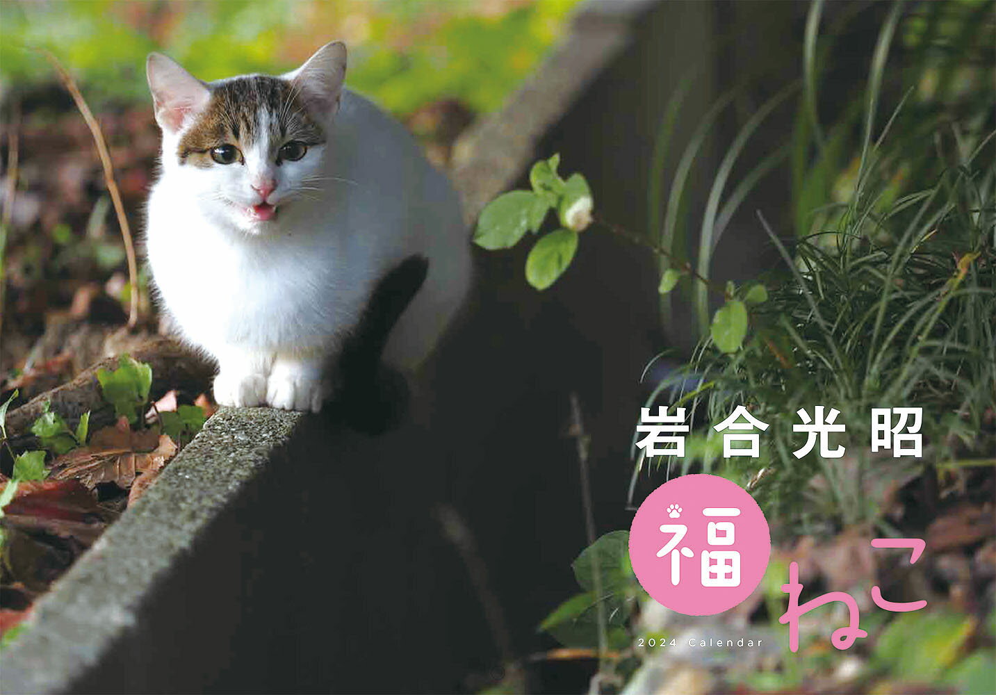 岩合光昭　福ねこカレンダー2024