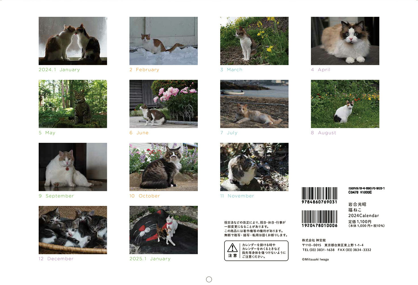 岩合光昭 福ねこカレンダー2024 [ 岩合光昭 ]の紹介画像2