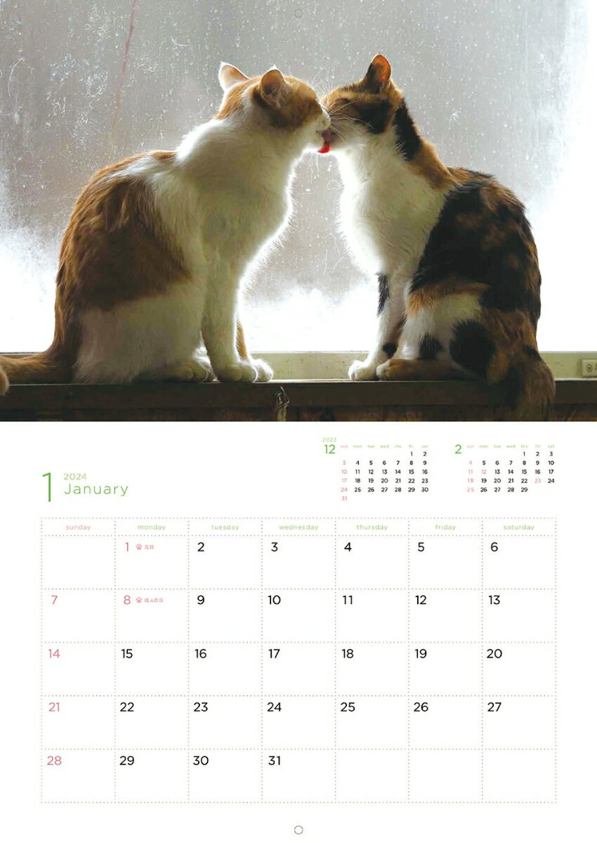 ��������ʡ�ͤ���������2024 [ ������ ]