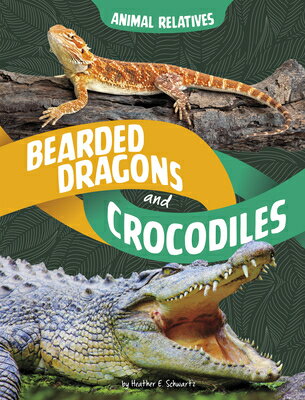 Bearded Dragons and Crocodiles: Reptile Relatives BEARDED DRAGONS & CROCODILES （Animal Relatives） 