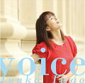 voice