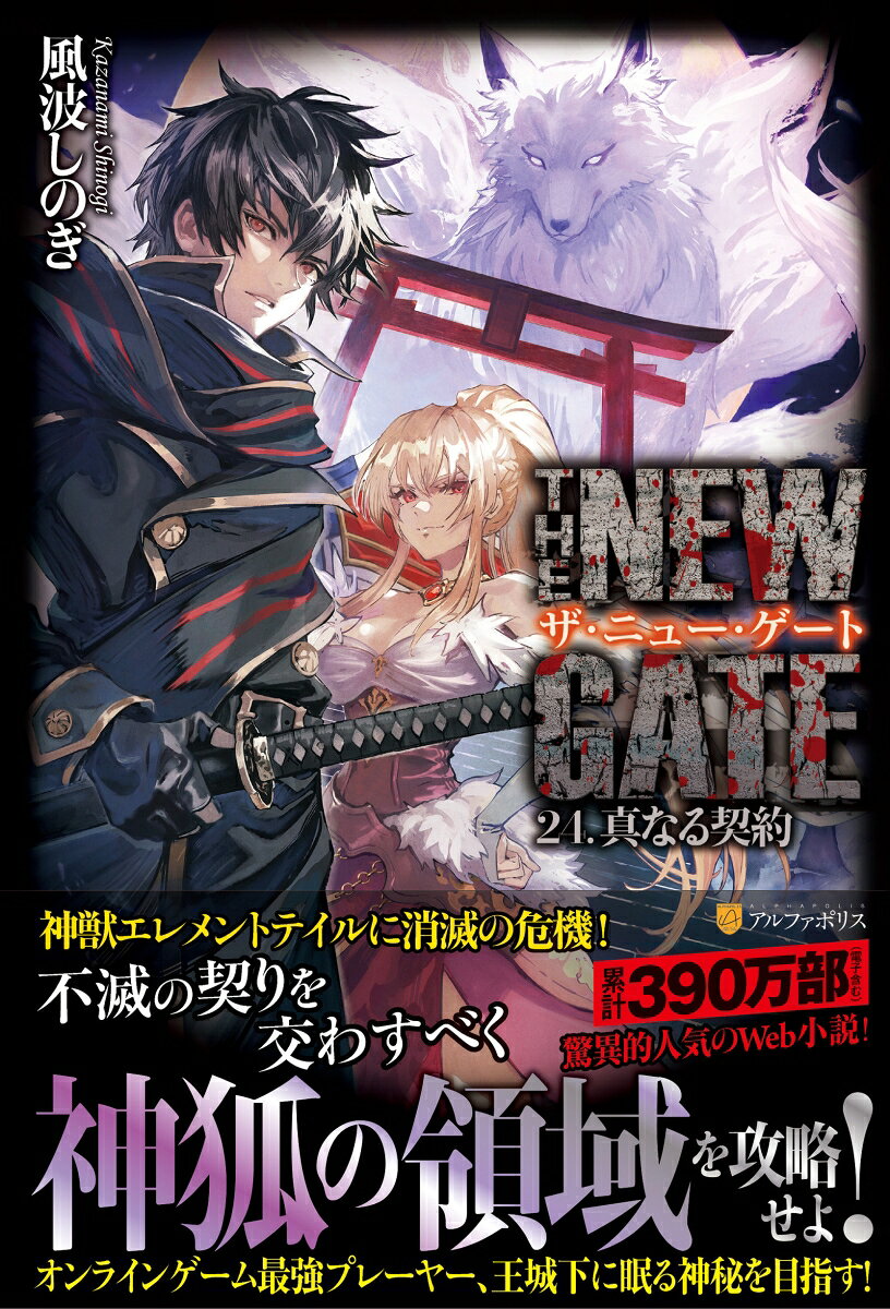 THE NEW GATE(24) 真なる契約