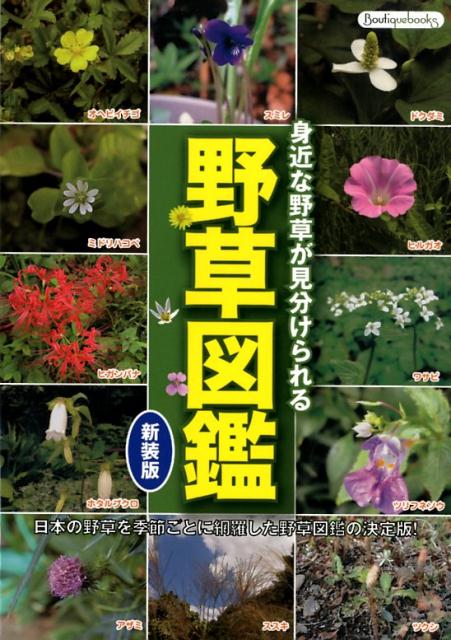 野草図鑑新装版 身近な野草が見分けられる （Boutique　books）