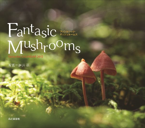 Fantastic　Mushroom森のきのこカレンダー（2015）