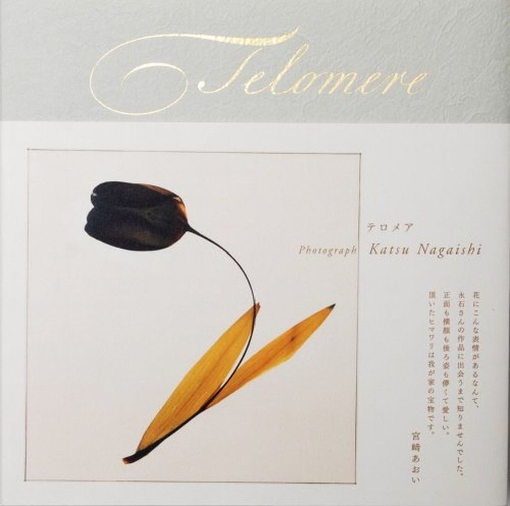 Telomere （テロメア）