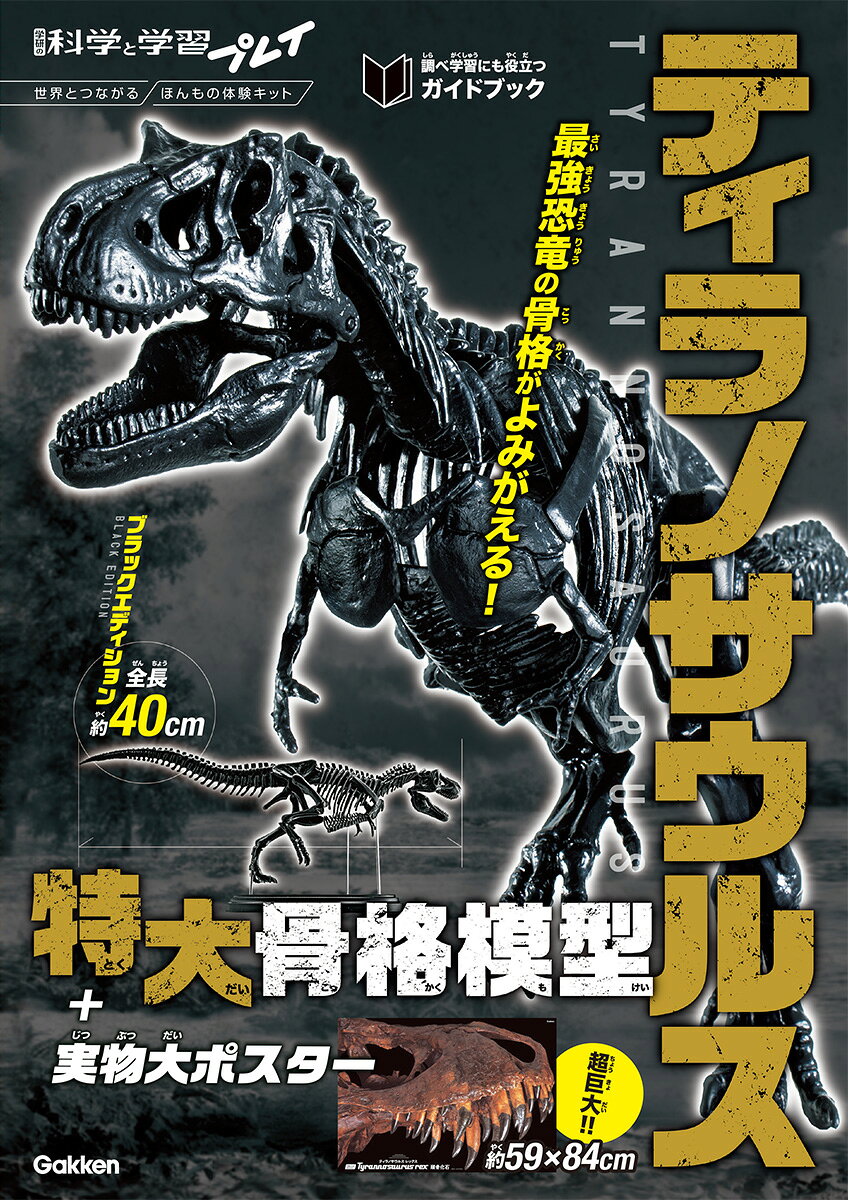 全長約40cmの大迫力！ 最強恐竜ティラノサウルスの1 / 35サイズ骨格模型と、頭骨の一部を実物大で掲載したポスターがセットになったキットです。北海道大学総合博物館 小林快次博士監修のガイドブックつきで、恐竜の体のつくりやティラノサウルスの生態がよくわかります。

キットの特徴
☆骨格模型は、日本を代表する恐竜造形作家の荒木一成氏が原型を製作。ティラノサウルスの骨格を細部までリアルに再現しました。自分の手で組み立てることで、最強恐竜のからだのつくりがよくわかります。
☆ティラノサウルスの頭骨の一部を実物大で掲載したA1サイズの特大ポスターつき。最大級の肉食恐竜であるティラノサウルスの大きさが実感できます。
☆ガイドブックでは、ティラノサウルスの骨格のひみつや最新の研究成果を詳しく解説。自由研究や調べ学習にも役立ちます。

キット内容
・ティラノサウルス1 / 35骨格模型
・本物の大きさ特大ポスター（A1サイズ：59×84cm）
・ガイドブック（オールカラー24ページ）

ガイドブックのもくじ
・骨格模型の組み立て方
・骨格模型で骨の形を観察しよう
・本物の大きさ特大ポスターでティラノサウルスの大きさを感じよう
・骨からわかる！ 恐竜王ティラノサウルス 5つのひみつ
・こんなに変わった！？ティラノサウルスのなかまと進化
・きみもやってみ！骨格模型でこんな遊び方してみよう！
・ティラノサウルスの骨格に会える博物館