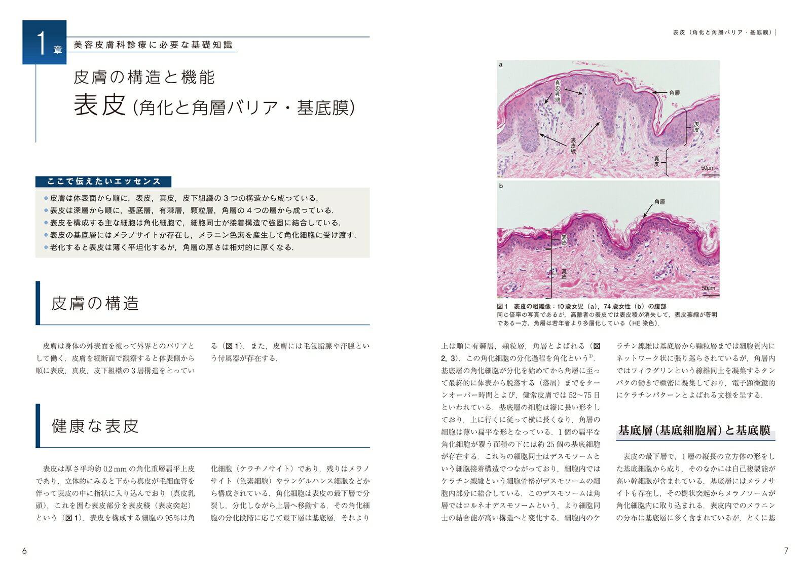 美容皮膚科学のきほん（1巻） （最新美容皮膚科学大系） [ 宮地良樹 ] book-20960909 楽天ブックス サンプル画像2