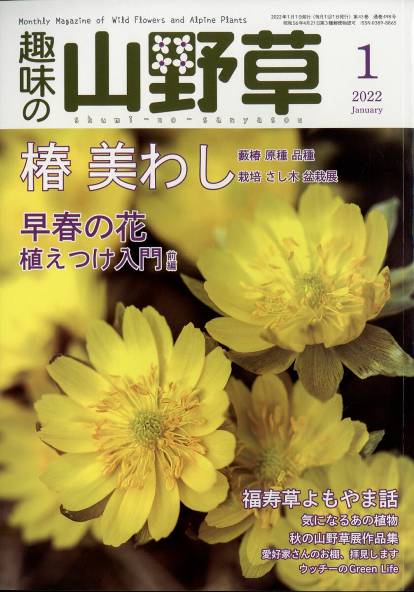 趣味の山野草 2022年 01月号 [雑誌]