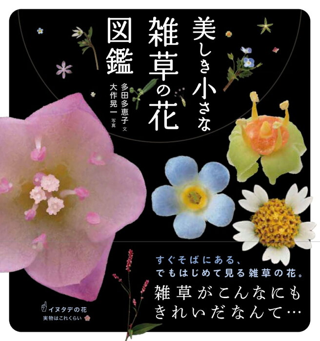 美しき小さな雑草の花図鑑 [ 大作晃一 ]