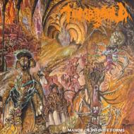 【輸入盤】Manor Of Infinite Forms