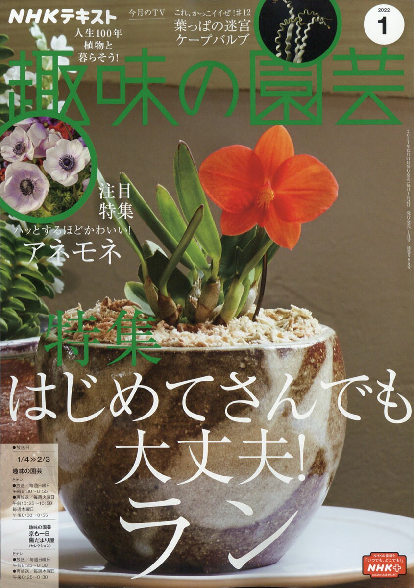 NHK 趣味の園芸 2022年 01月号 [雑誌]