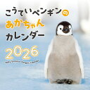 こうていペンギンのあかちゃんカレンダー2026