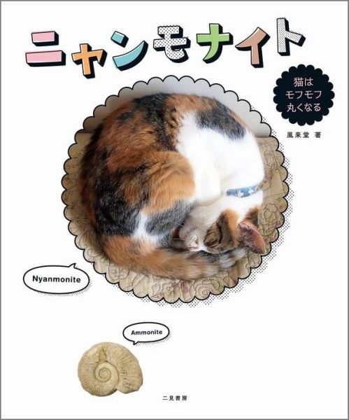 ニャンモナイト