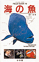 フィールド・ガイドシリーズ13 海の魚