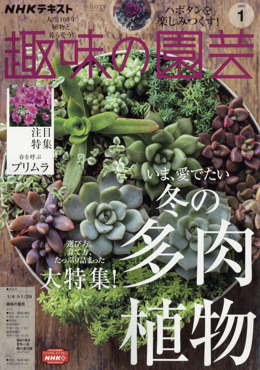NHK 趣味の園芸 2023年 1月号 [雑誌]