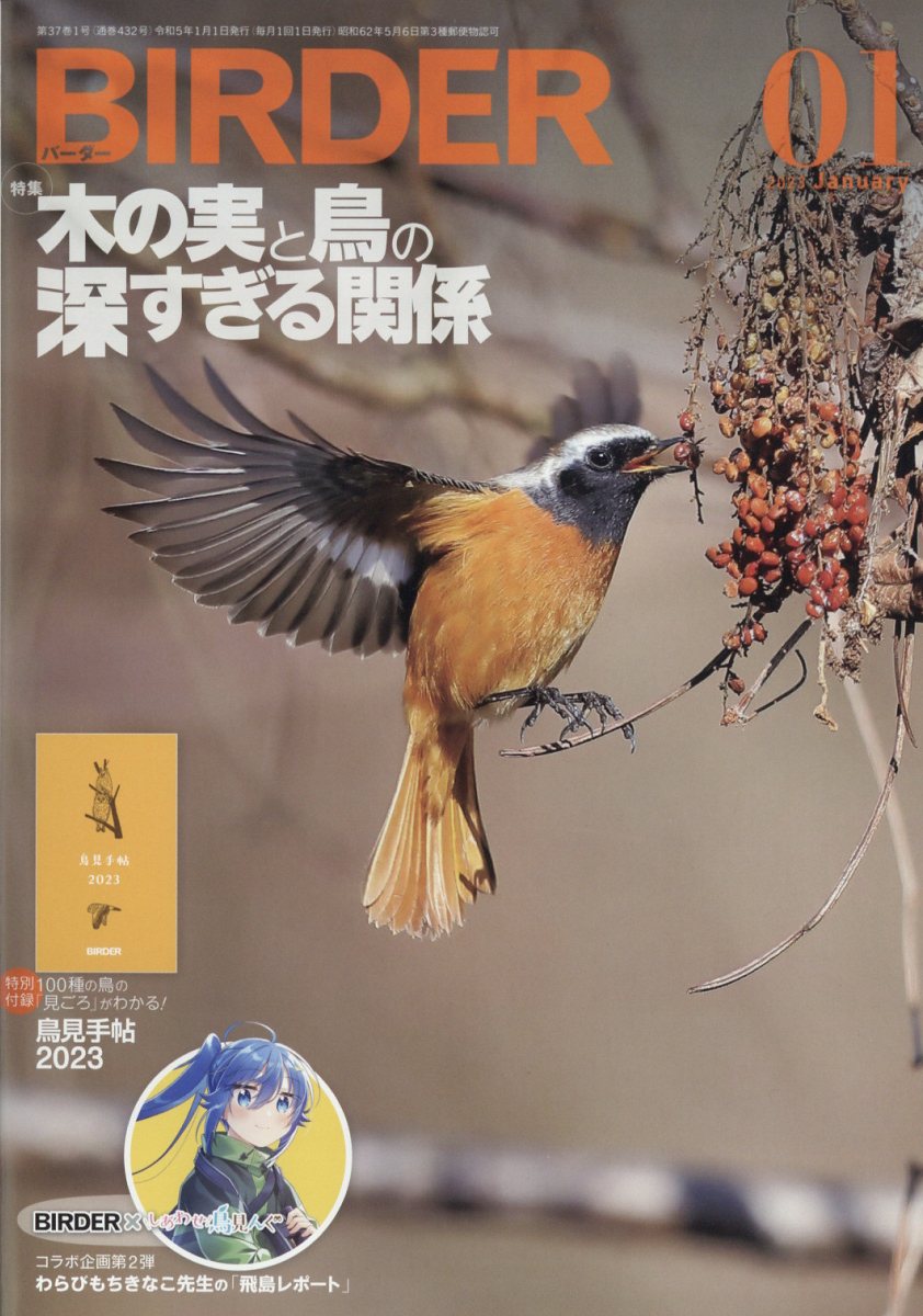 BIRDER (バーダー) 2023年 1月号 [雑誌]
